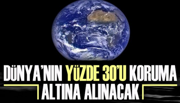 Dünya'nın yüzde 30'u koruma altına alınacak