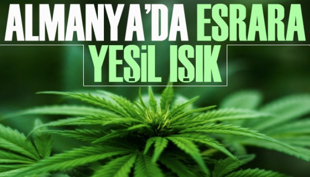 Almanya'da esrara yeşil ışık yakan düzenleme yolda!