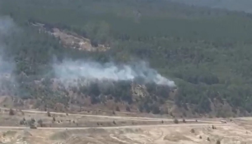 Bursa'da ormanlık alanda yangın!
