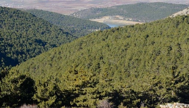 Ormanlık alanlara giriş yasaklandı