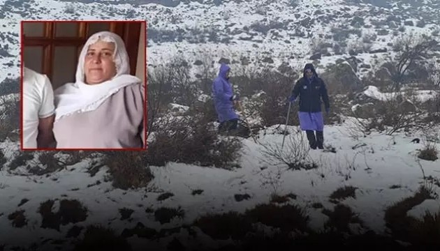 Kaybolan kadın 8 gündür aranıyor