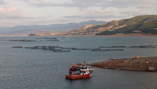Tokat'tan 29 ülkeye balık ihracatı