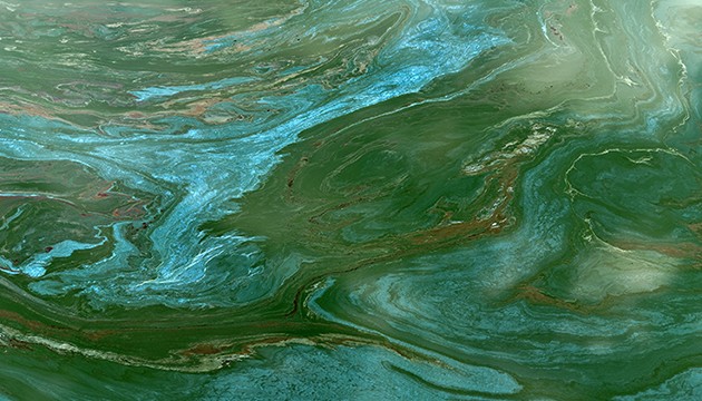 Demirköprü Barajı yosunla kaplandı