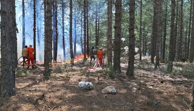 Aydın'da orman yangını! Müdahale sürüyor
