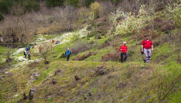 Yeni keşif: Doğa ağrıyı hafifletiyor