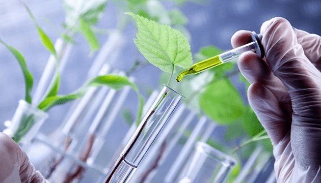 Bitki ıslahı ne işe yarar?