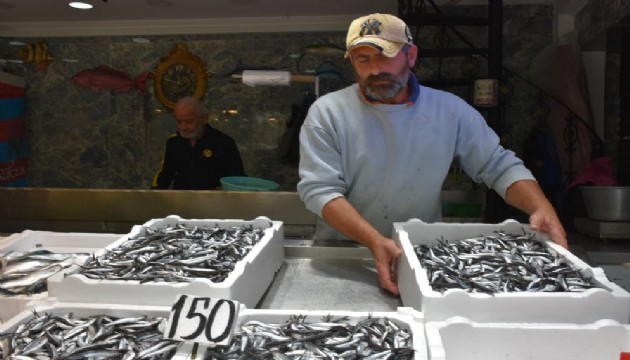 Kilosu 150 TL'den alıcı buluyor!