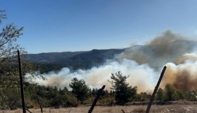 Bursa'da orman yangını