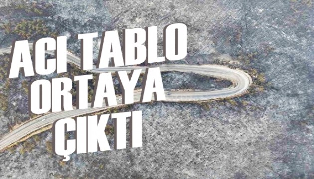 Bursa'daki yangının acı tablosu gün ağarınca ortaya çıktı