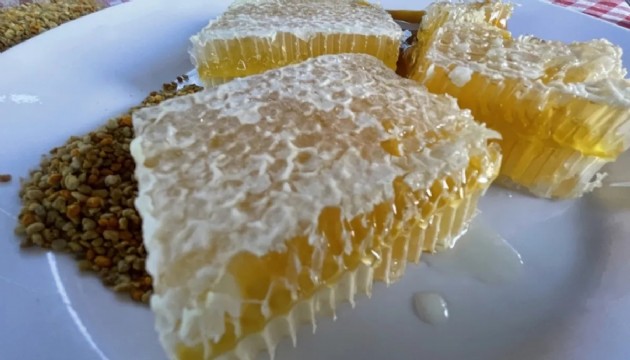 Yenice ıhlamur balına coğrafi işaret tescili