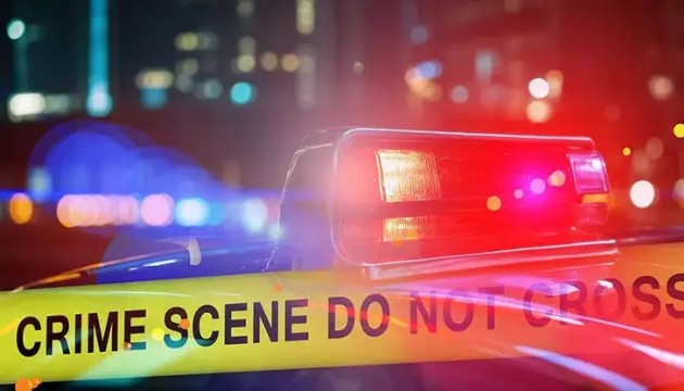 ABD'de araç kalabalığa daldı