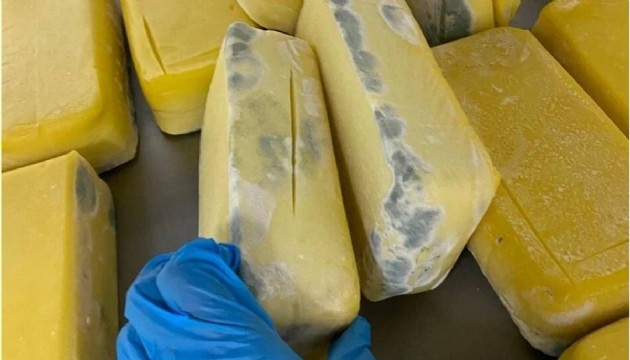 Küflü tost peynirlerine el konuldu