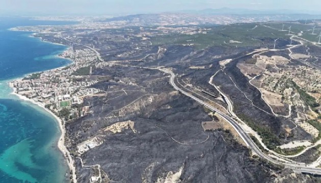 Çanakkale'deki yangında acı tablo