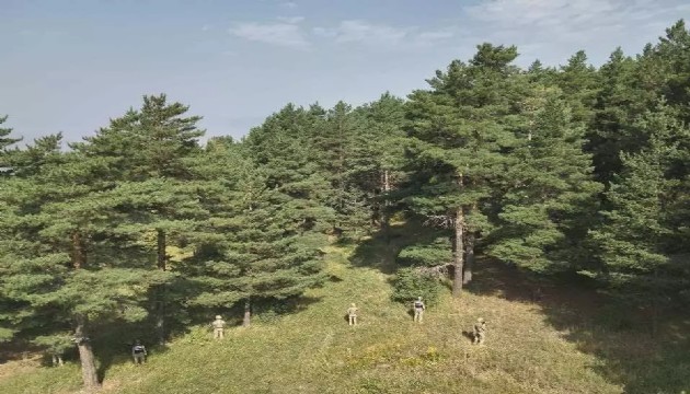 Mangal yakan iki kişiye para cezası