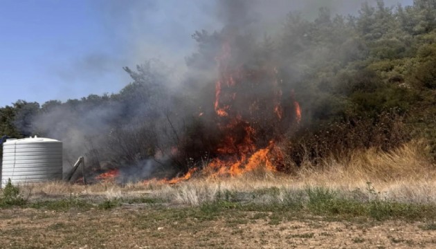 İzmir'de korkutan yangın!
