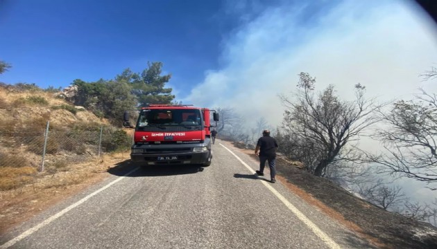 İzmir'de orman yangını