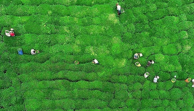 Su verimliliği için kritik çalışma