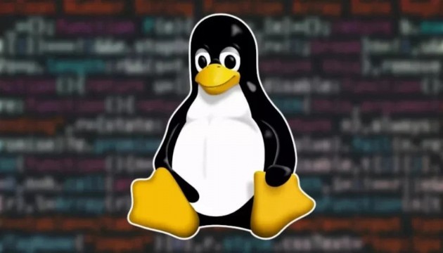Devlet sistemleri Linux'a geçiyor