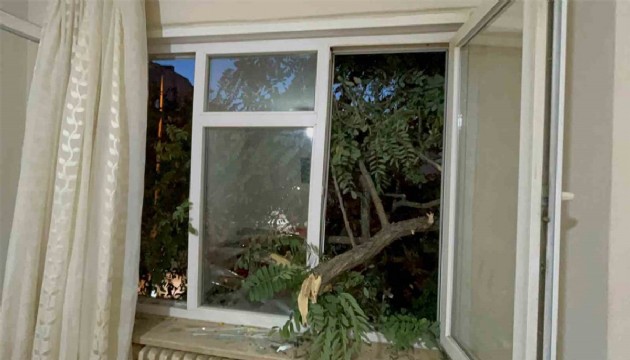 Kahve içerken üzerine ağaç devrildi!