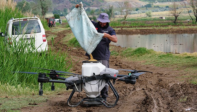 Çifçiler çeltik ekimini dronla yapıyor