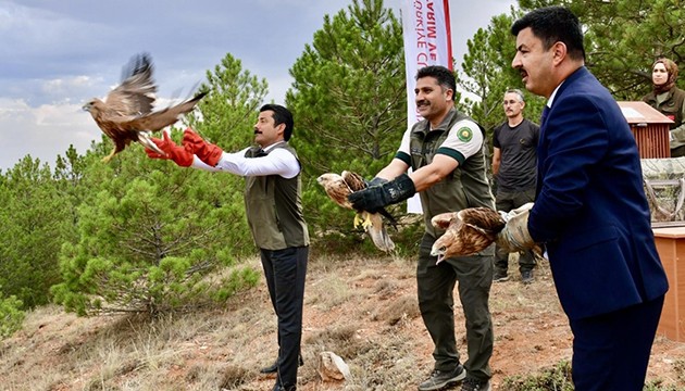Tedavi edilen kuşlar doğaya salındı