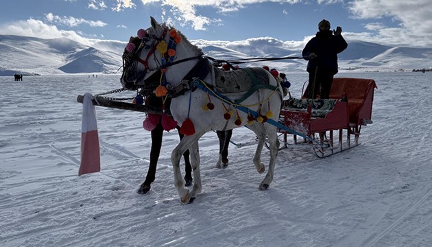 Çıldır Gölü'nde yoğunluk