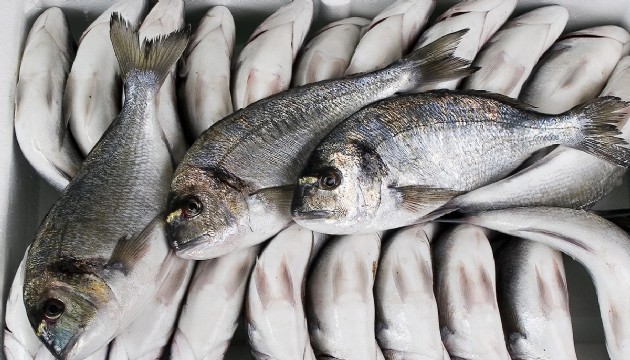 Uzmanı açıkladı: Balık yemeden önce bir kez daha düşünün