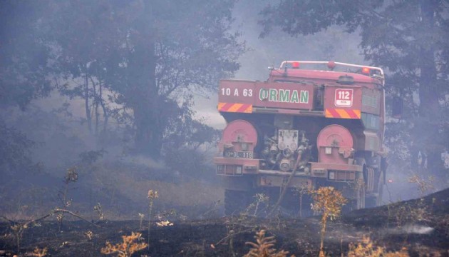 Kazdağı Milli Parkı'nda orman yangını