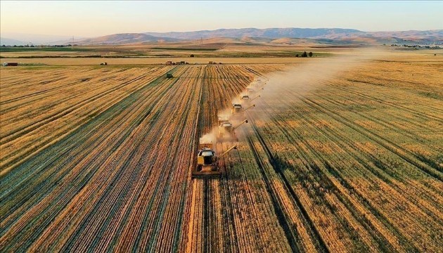 Tarımda devrim: Gençlere maaş garantili üretim