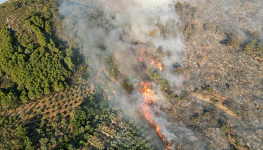Antalya'da korkudan yangın! Havadan ve karadan müdahale başladı
