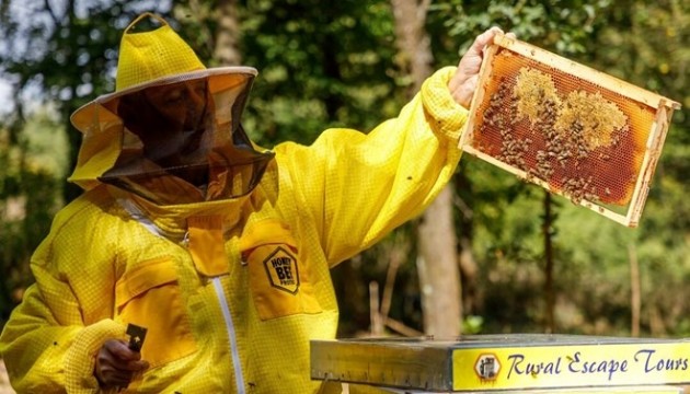 Yaşlı arıcı, trafik polisleriyle tartışınca üzerlerine arı saldı