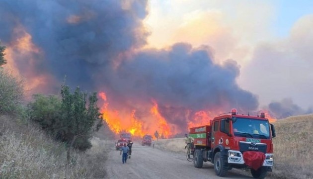 İki bölgede orman yangını