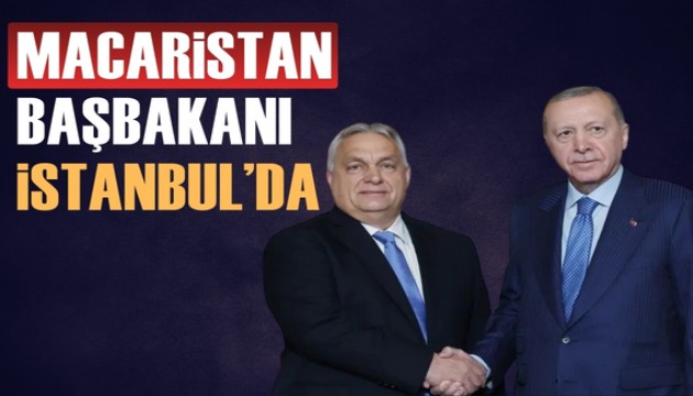 Cumhurbaşkanı Erdoğan, Macaristan Başbakanı ile görüştü