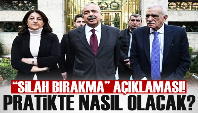 Sırrı Süreyya Önder'den 'silahların bırakma' açıklaması