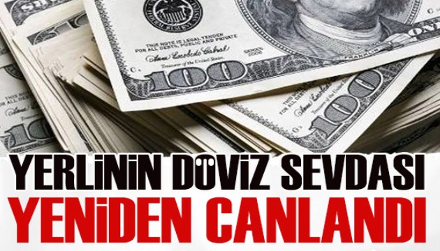 Naki Bakır yazdı: Yerlinin döviz sevdası yeniden canlandı