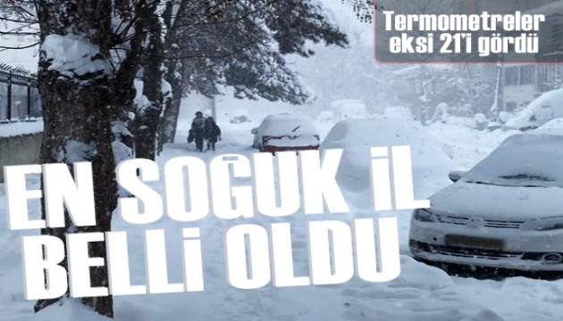 Türkiye'nin en soğuk ili belli oldu: Termometreler eksi 21'i gördü
