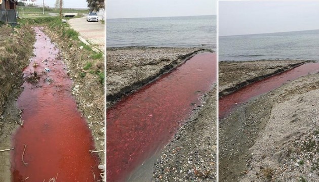 Derenin rengi kırmızıya döndü