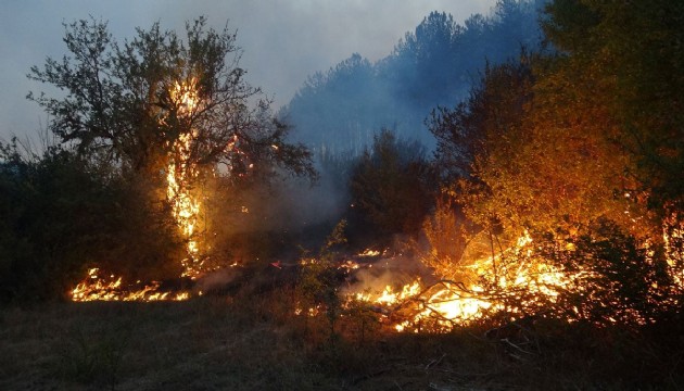 Karabük'teki orman yangını 2'nci gününde