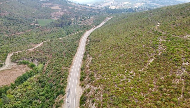 Yanan alanlara dikilen fidanlar büyüyor