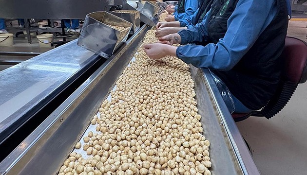 10 ayda milyar dolarlık gelir