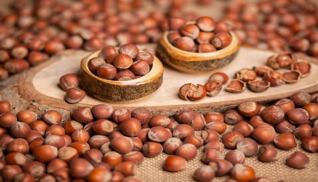 2025 için fındık alım fiyatları açıklandı