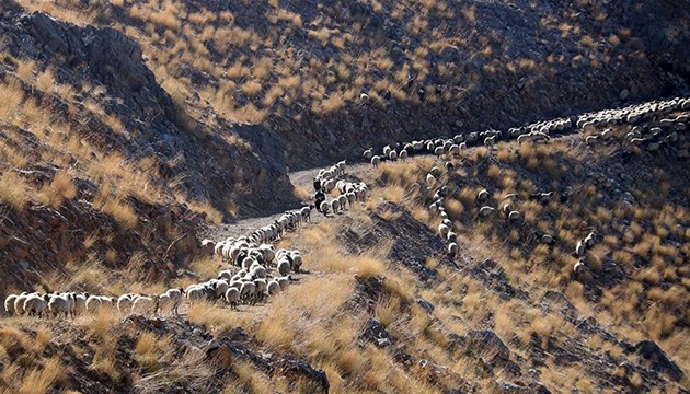 Göçerler dönüş yolculuğuna başladı