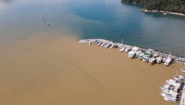 Körfezin rengi değişti