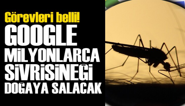 Google milyonlarca sivrisineği doğaya salacak: Görev belli!