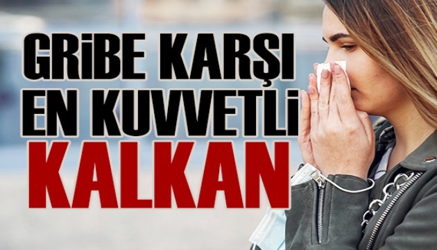 Gribe karşı en kuvvetli kalkan: Hijyen ve uyku