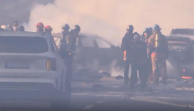 Güney Kore'de orman yangını: 2 itfaiyeci öldü