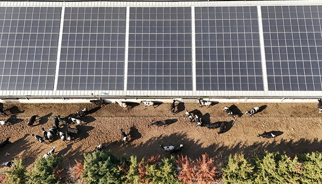 Dev işletme enerji giderini güneşle azaltıyor