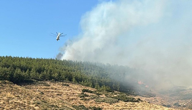 Hatay'da orman yangını