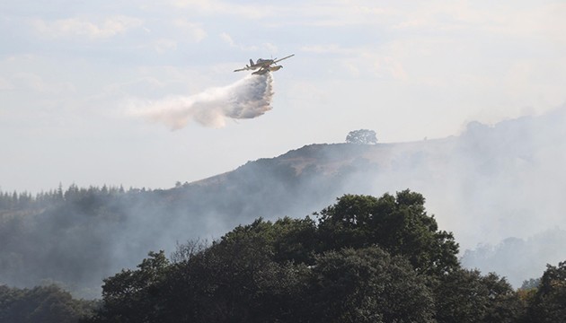 Kırklareli'nde orman yangını