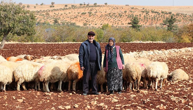 Hibe ile besici oldular